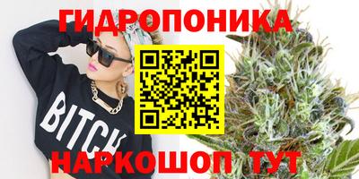 каннабис Берёзовский