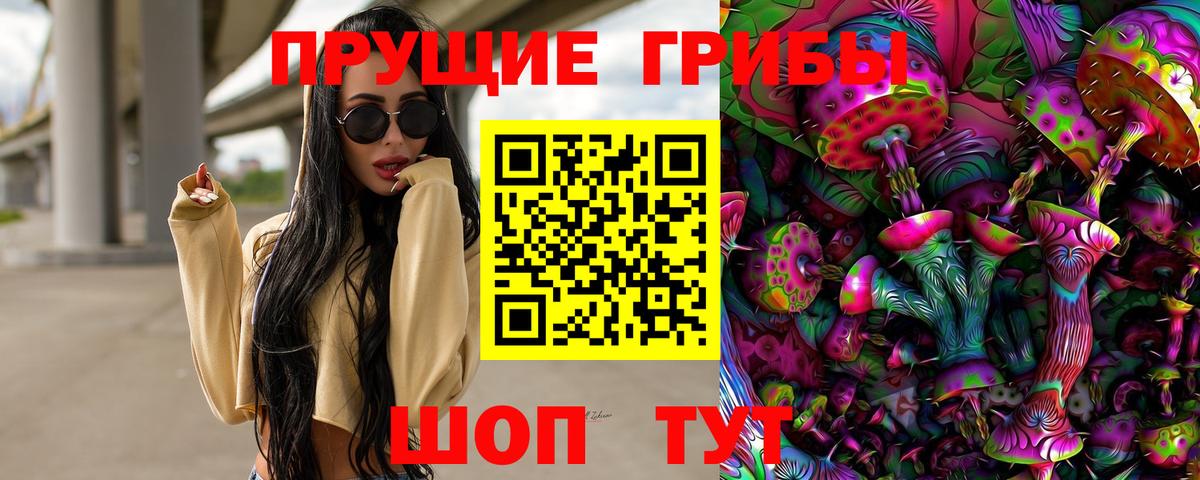 Псилоцибиновые грибы мухоморы  Вход с VPN  Заводоуковск 